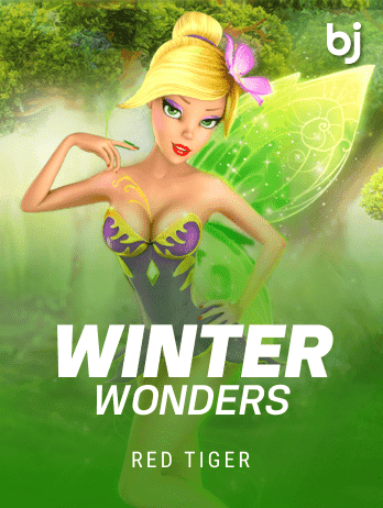 WinterWonderspng icon